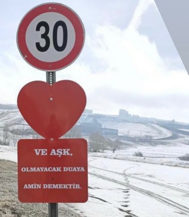 13. Herkes aşıktır. Aşkını dağlara, tabelalara yazacak kadar aşıktır.