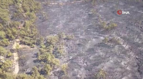 40 hektar ormanlık alan zarar gördü