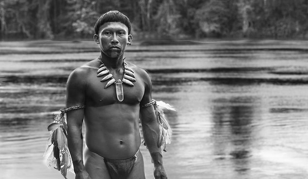 53. El Abrazo De La Serpiente (2016)