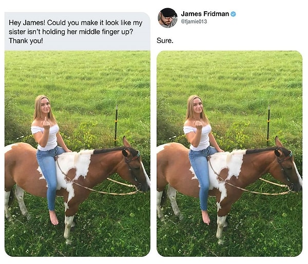 8. «Можешь сделать так, чтобы моя сестра не показывала средний палец на руке?»