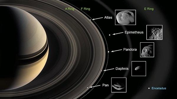 11. Satürn'ün yörüngesinde dönen uyducuklara NASA yavru kedi isimleri vermeye başlamıştır.