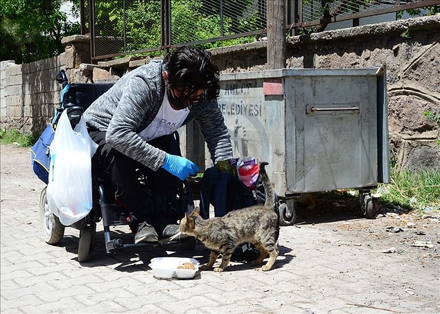 Bedensel engelli Uğur Avcı, sosyal medyada açtığı hesap üzerinden mama bağışı topladığını ve topladığı mamalarla sokak hayvanlarını beslediğini ifade etti.