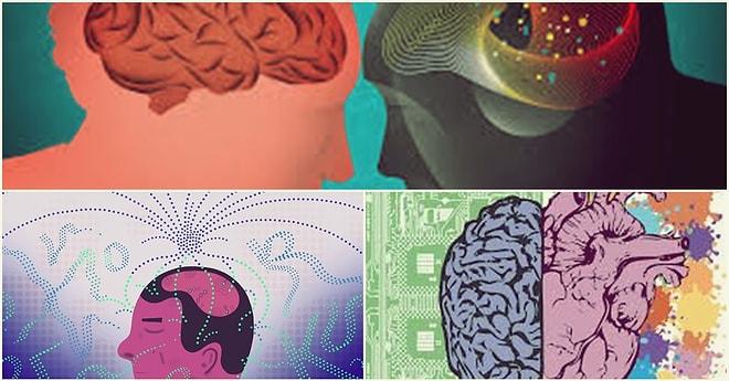 Ayfer Batı Yazio: Eğitim Sistemimiz Beynimize Uygun mu?
