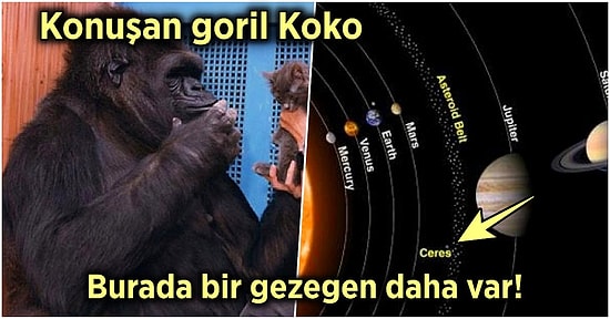 Acayip Bilgiler Kuşağı: Muhtemelen Daha Önce Hiç Duymadığınız 15 İlginç Gerçek