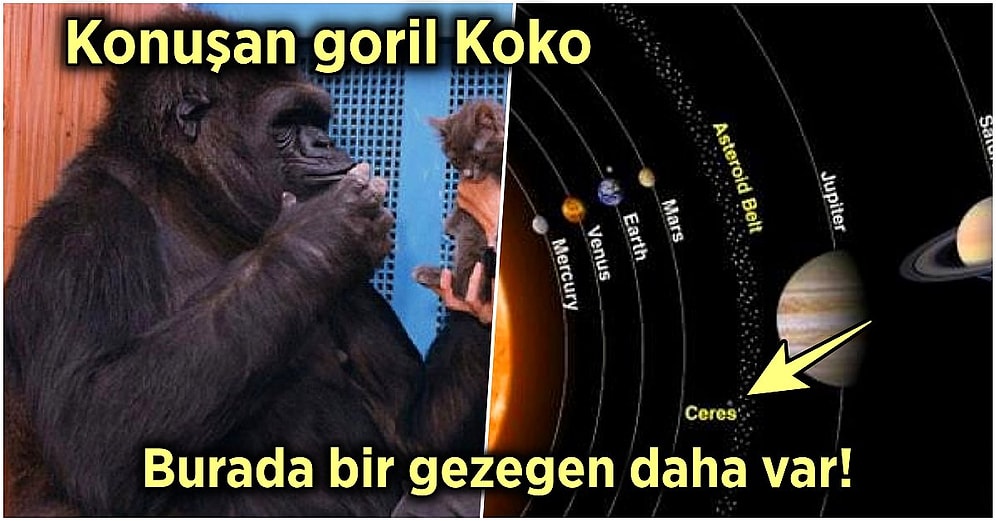 Acayip Bilgiler Kuşağı: Muhtemelen Daha Önce Hiç Duymadığınız 15 İlginç Gerçek