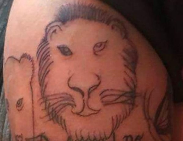 3. Эмм, кошка?