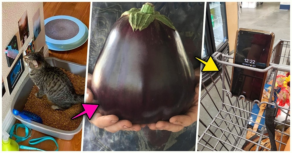 Hep Aynı Şeyleri Görmekten Sıkılanları İlginçliğe Doyuracak Birbirinden Acayip 19 Yeni Görsel