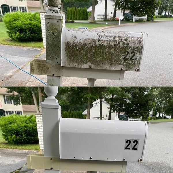 15. «Почтальон не поверит своим глазам»