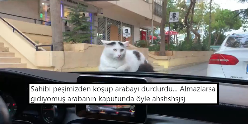 Twitter'ın Mizahşörleri Tarafından Paylaşılmış Geçtiğimiz Haftanın En İyi 42 Videosu
