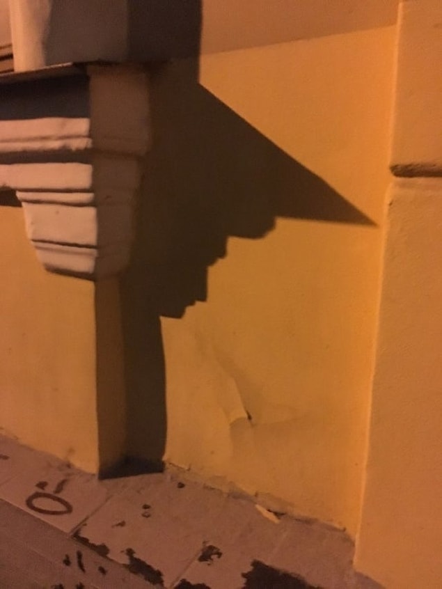 23. Sahipsiz bir üniversite mezunu