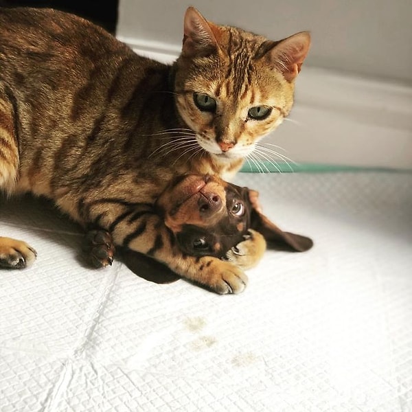 15. Что здесь происходит?