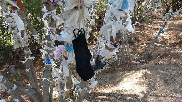 'Manzarayı görünce şoka uğradım'