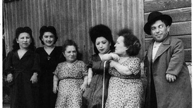 Ovitz ailesi tüm bunlara katlanıyordu çünkü bu yüzden gaz odalarında ölüme mahkum edilmiyorlardı.