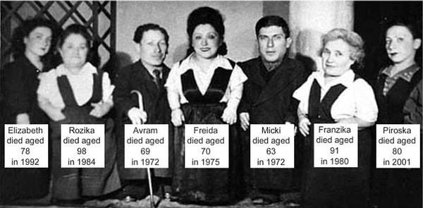 Ovitz ailesi Sovyetler tarafından kurtarıldıktan sonra İsrail'e göç etti.