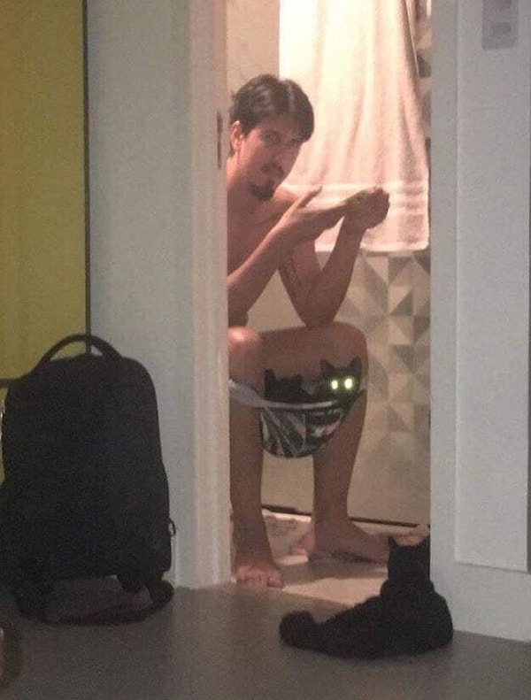 13. Лазерный кот