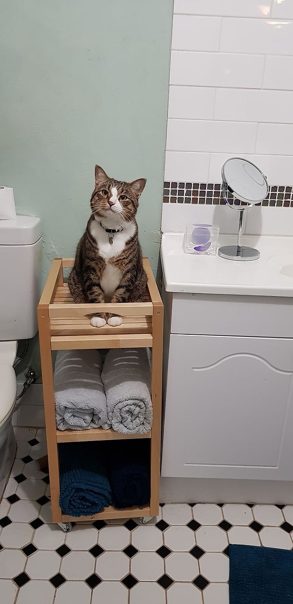 16. Профессиональный руководитель душа