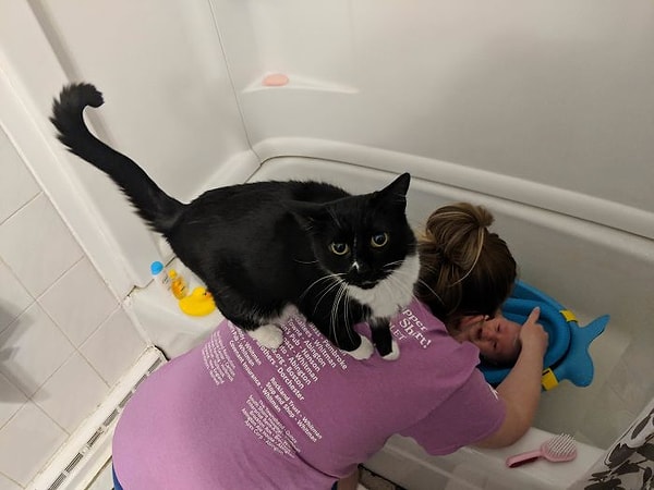 24. Наша кошка защищает нашего новорожденного. Она не одобряет то, что ребенок принимает ванную