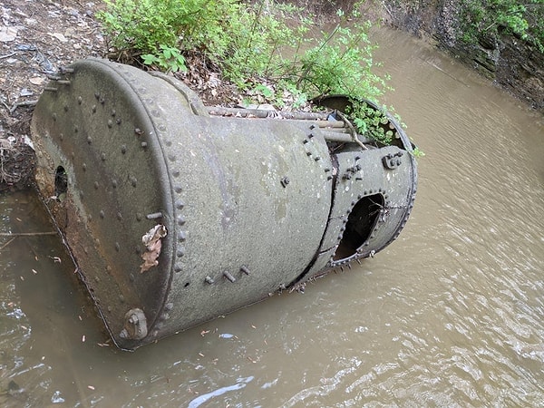1. «Обнаружил это в лесу»