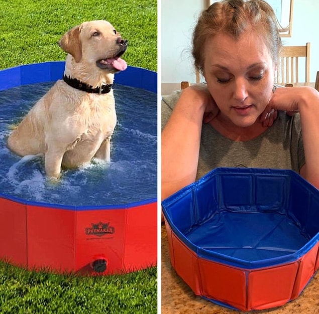3. "XL köpek havuzu aldım."