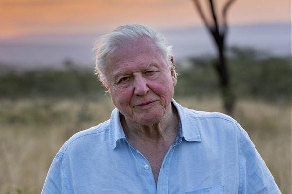 14. David Attenborough: A Life on Our Planet / 4 Ekim