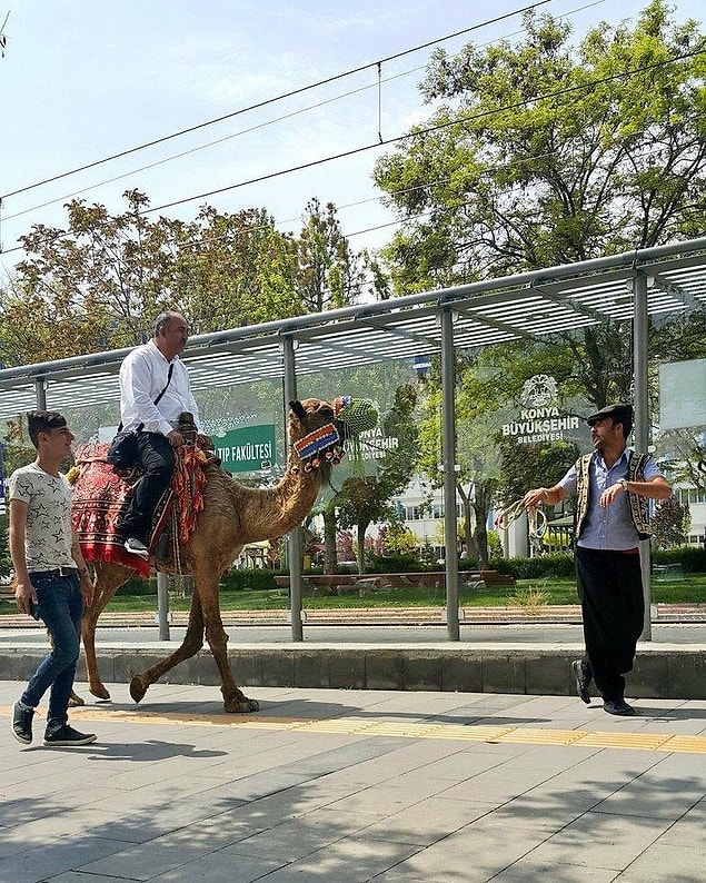 5. Türkiye’de deve ile dolaşılan tek yer burası olabilir.