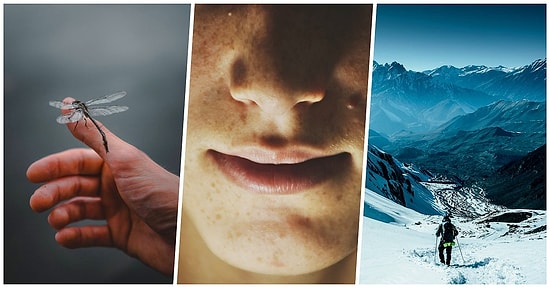 20 самых жутких фактов, узнав которые, вы не сможете продолжать жить, как раньше