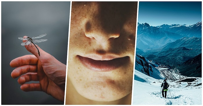 20 самых жутких фактов, узнав которые, вы не сможете продолжать жить, как раньше