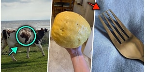 Hep Aynı Şeyleri Görmekten Sıkılanları İlginçliğe Doyuracak Birbirinden Acayip 17 Yeni Görsel