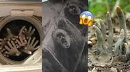 Tek Başınızayken Asla Bakmamanız Gereken İstemsiz Bir Şekilde Korkutucu Olan 21 Fotoğraf