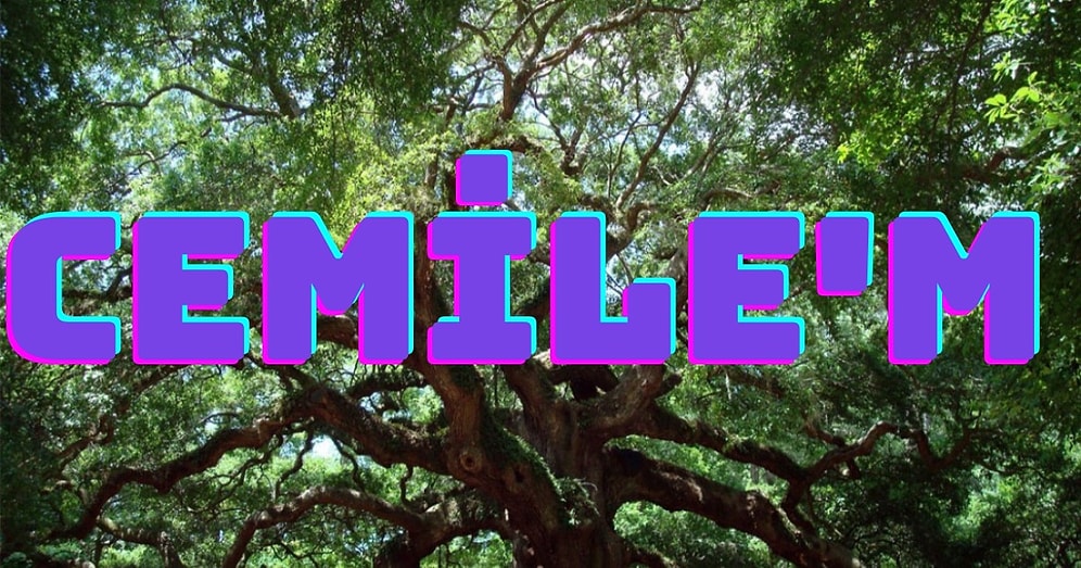 Ünnen Gelin Koca Memiş’e! Cemile’nin Gezdiği Dağlar Meşeli Türküsünün Bilinmeyen Hikayesi