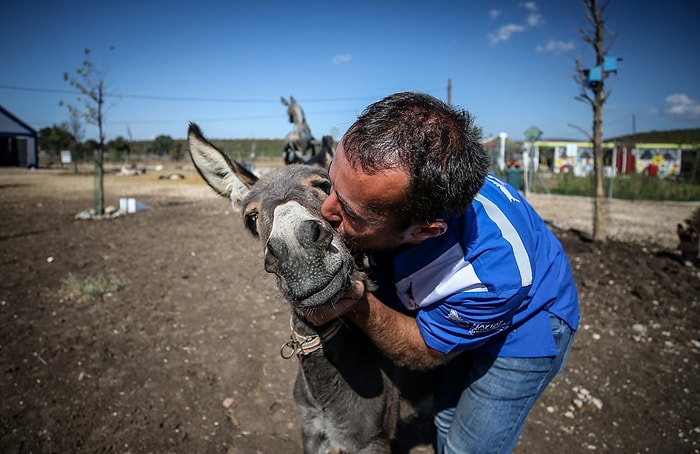 🐴  Eziyet Gören, Sokağa Atılan ve Yardıma Muhtaç Can Dostlar İçin Sığınak Kuruldu: 'Emekli Hayvanlar Çiftliği'