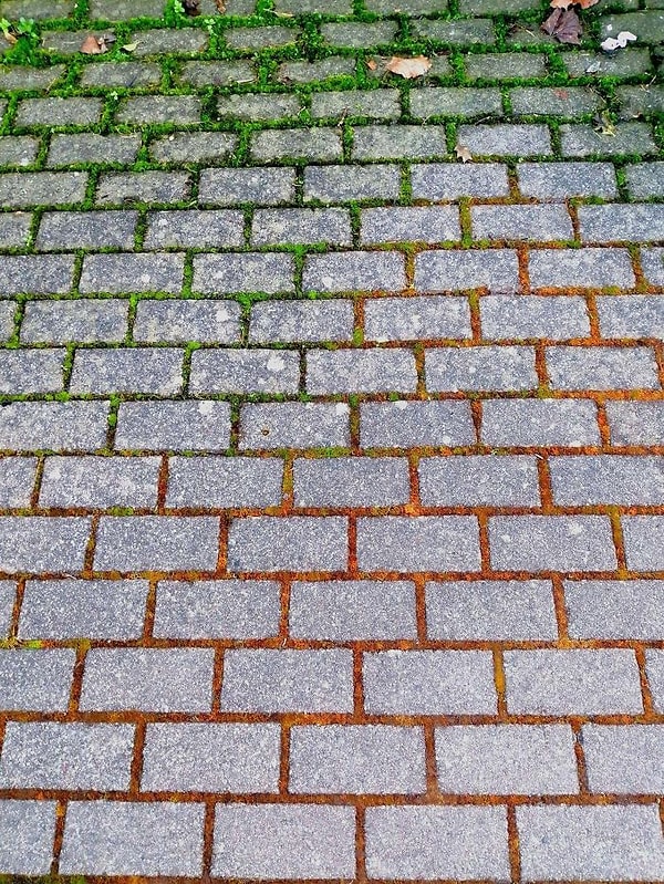 11. Разноцветный градиентный мох