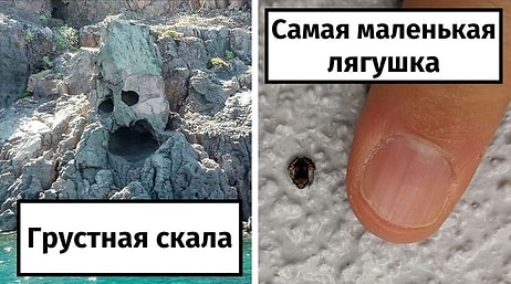 25 самых необычных и удивительных явлений в природе, которые удивят вас