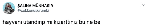 Twitter'a Düşen Az Pişmiş Et Görseli Timeline'da Mizah Fırtınaları Estirdi