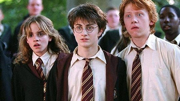 17. Harry Potter Serisi - 8 Film