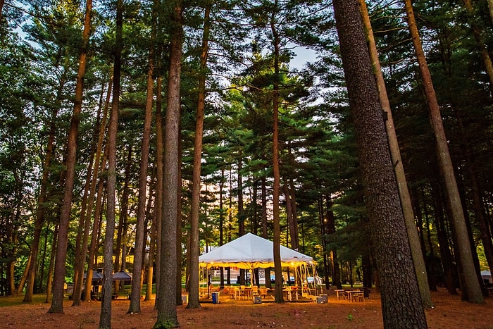 Крупнейший в мире хедж-фонд работает в палатках в лесу во время пандемии COVID