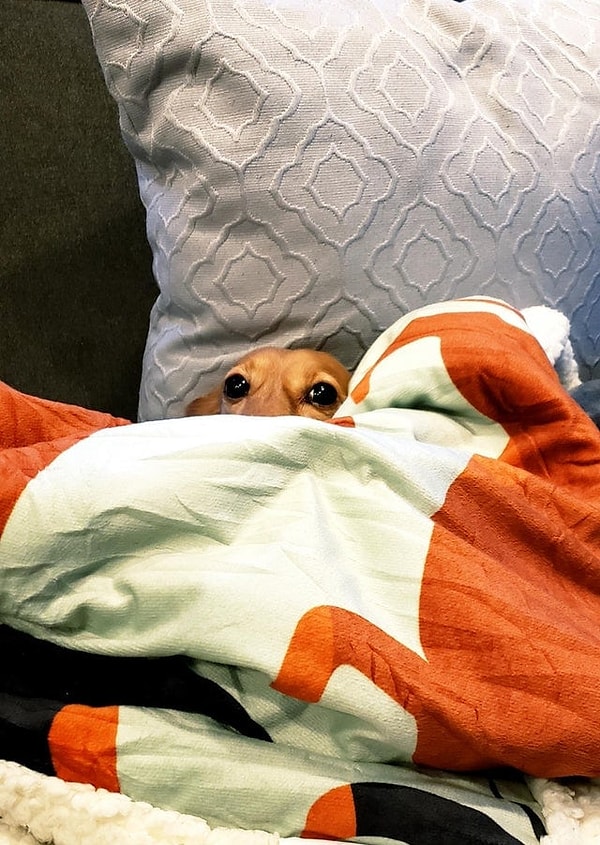 13. «Она заняла моё место, стоило мне отойти за водой»