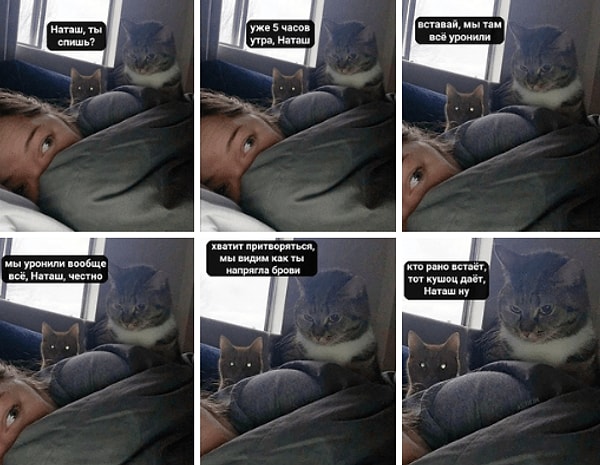 С чего всё начиналось