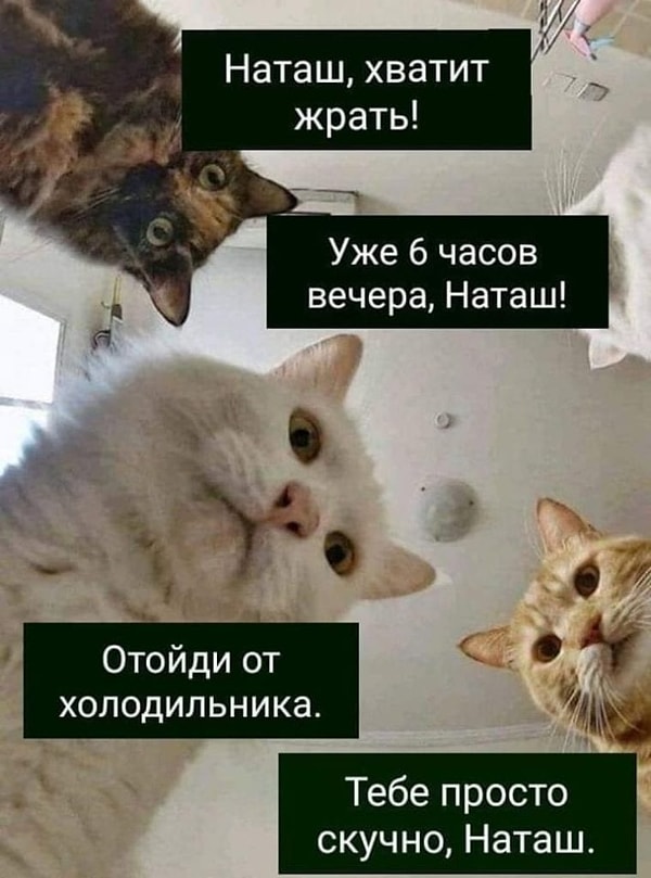 Наташа и холодильник