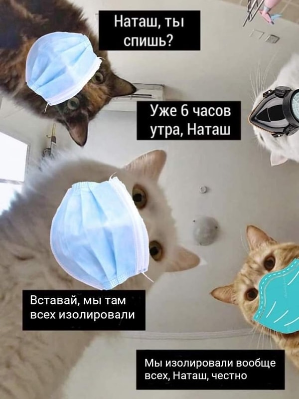 Наташа и самоизоляция