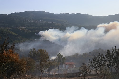 Hatay Kıyameti Yaşıyor: 3 İlçeye Yayılan Orman Yangınıyla Mücadele Sürüyor