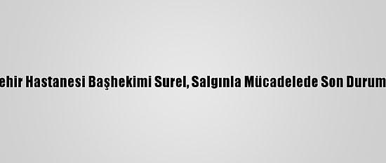 Ankara Şehir Hastanesi Başhekimi Surel, Salgınla Mücadelede Son Durumu Anlattı: