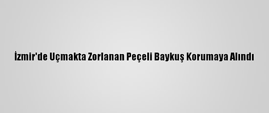 İzmir'de Uçmakta Zorlanan Peçeli Baykuş Korumaya Alındı