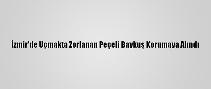 İzmir'de Uçmakta Zorlanan Peçeli Baykuş Korumaya Alındı