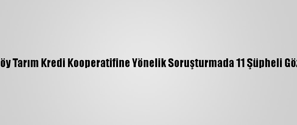 İzmir'de Ataköy Tarım Kredi Kooperatifine Yönelik Soruşturmada 11 Şüpheli Gözaltına Alındı