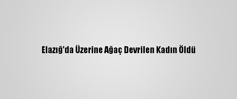 Elazığ'da Üzerine Ağaç Devrilen Kadın Öldü