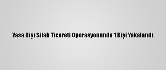 Yasa Dışı Silah Ticareti Operasyonunda 1 Kişi Yakalandı