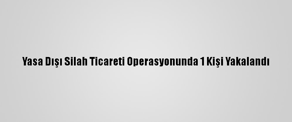 Yasa Dışı Silah Ticareti Operasyonunda 1 Kişi Yakalandı