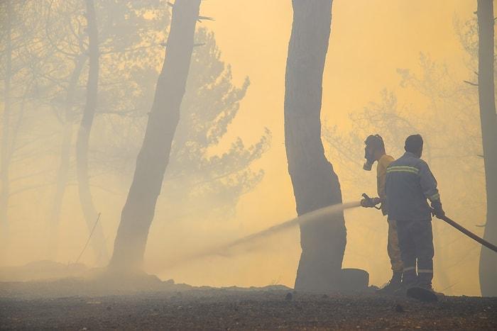 HDP: 'Orman Yangınlarının Sorumlularını Lanetliyoruz'