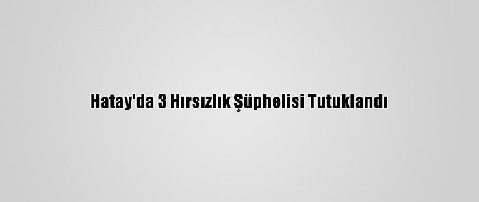 Hatay'da 3 Hırsızlık Şüphelisi Tutuklandı